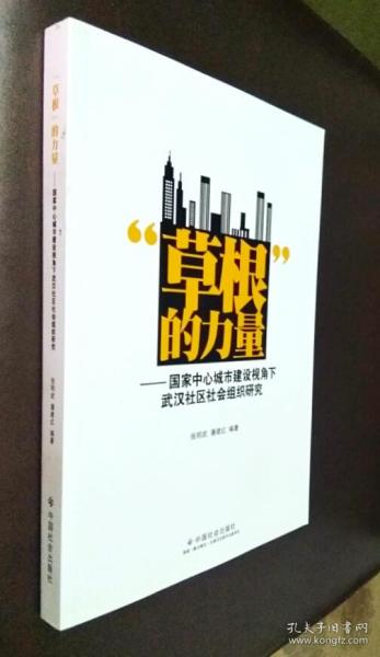 布衣之怒，草根力量的觉醒与时代变迁