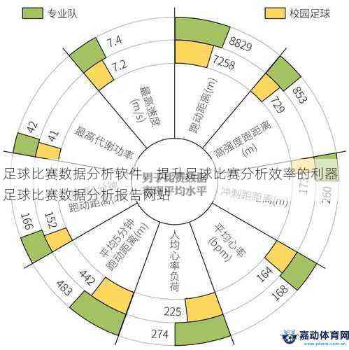今日世界杯足球，深度分析与精准预测推荐