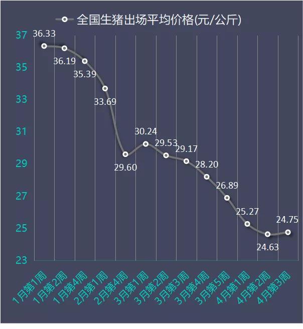 全国生猪价格，今日猪价动态与市场分析