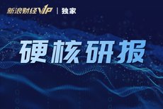 深度解析，新浪财经在新浪网中的独特地位与影响力