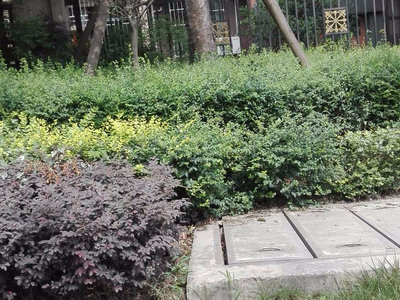8号公馆，城市中的隐秘花园