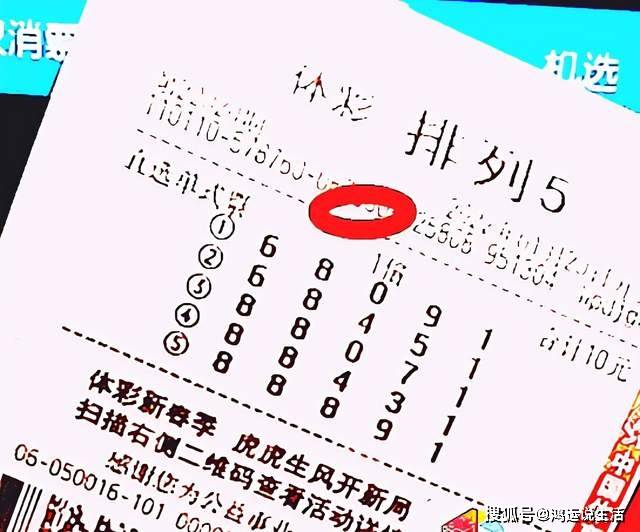 揭秘3D彩票中的必中迷思，理性与概率的较量
