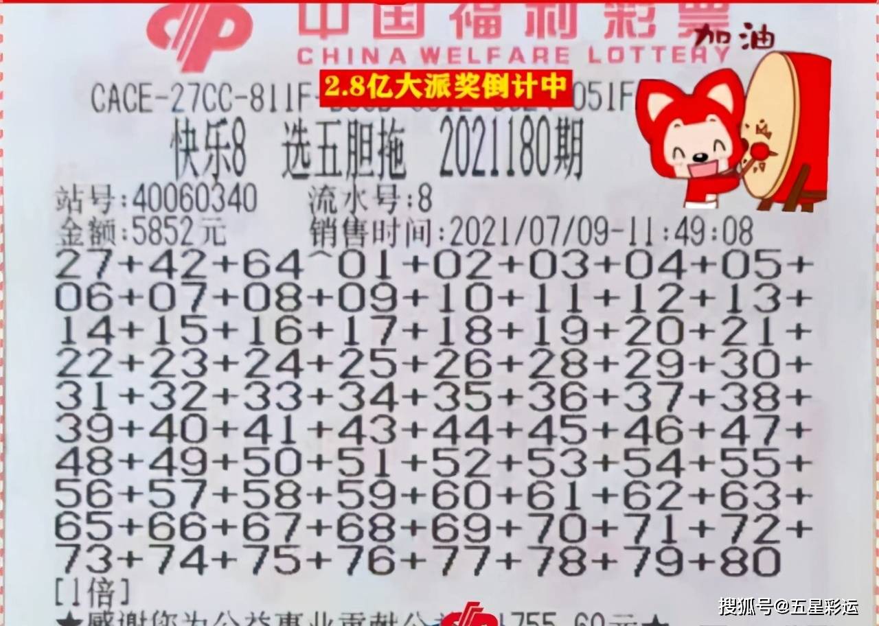 福彩3D彩票图库，探索数字与幸运的奇妙世界