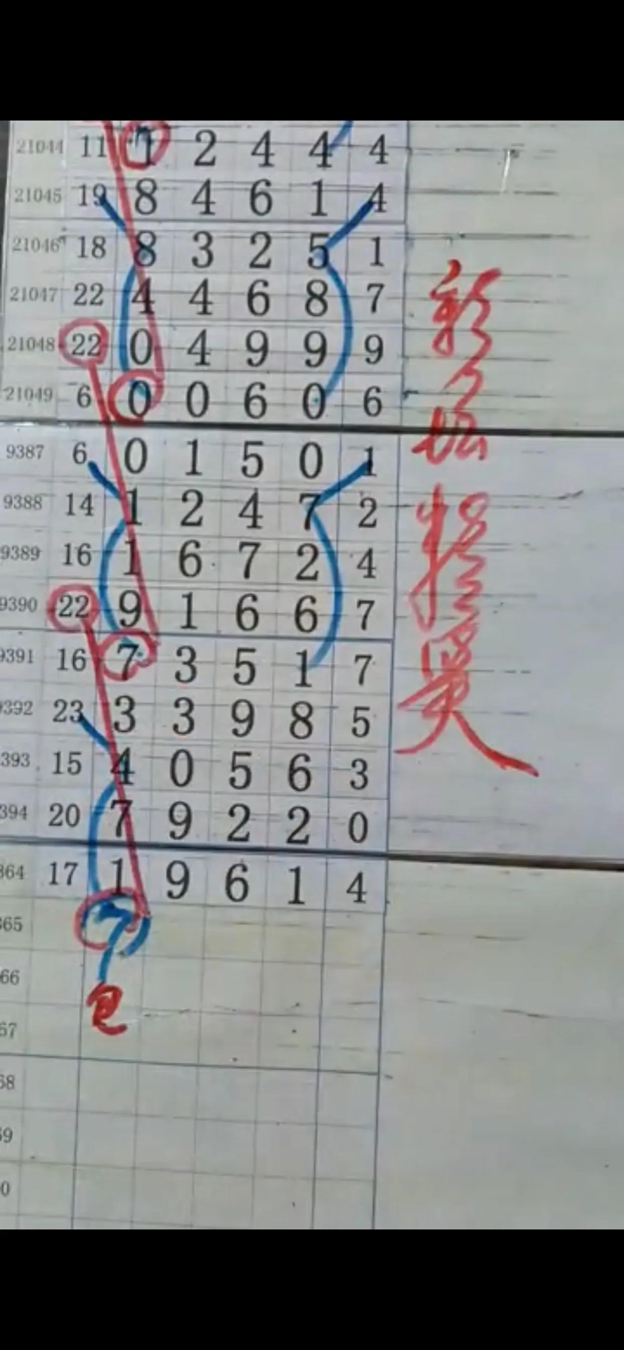 排5开奖号走势图，解码数字背后的奥秘