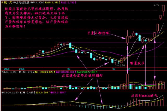 2014年浙江风采网3D走势图，透视数字背后的奥秘