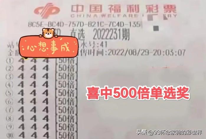 福利彩票，理性与智慧的博弈——揭秘大神预测的真相
