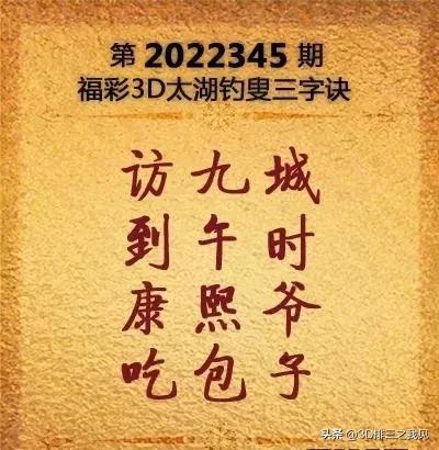 3D预测专家