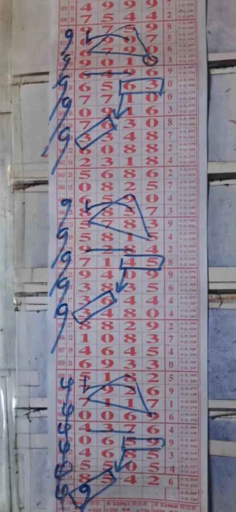 够力奖表排列五，数字游戏中的智慧与乐趣