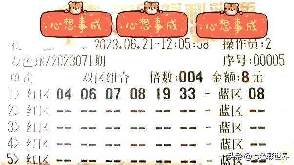 胆拖策略