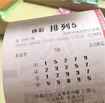 浙江12选五，数字背后的趋势与奥秘
