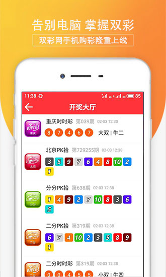 彩票开奖查询结果公告了，揭秘背后的故事与影响