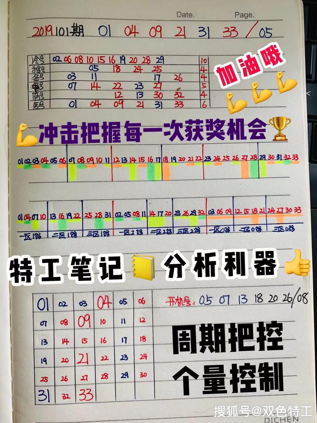探索双色球近50期走势，数字背后的奥秘与预测
