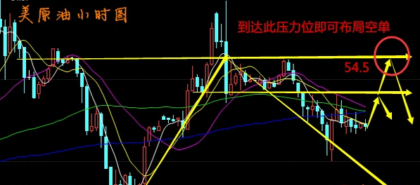排5综合走势图专业版p5，深度解析与实用指南