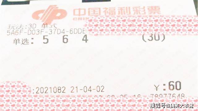 今日揭秘，中国福利彩票3D试机号全解析