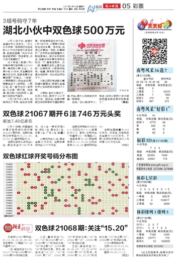 揭秘最准一肖与中特之谜，理性视角下的数字游戏最准一肖一码一一孑中特一肖两码