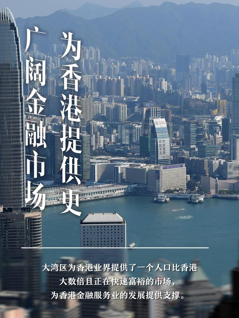 澳门六开最新资料查询，揭秘新澳门的魅力与机遇新澳门六开最新资料查询大全图片