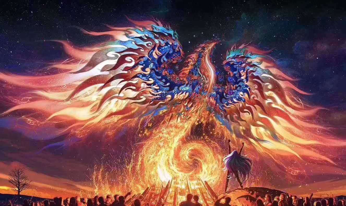 凤凰涅槃，揭秘凤凰天使论坛的兴衰与影响凤凰天使 论坛