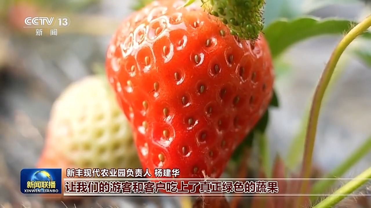 孤独 第211页