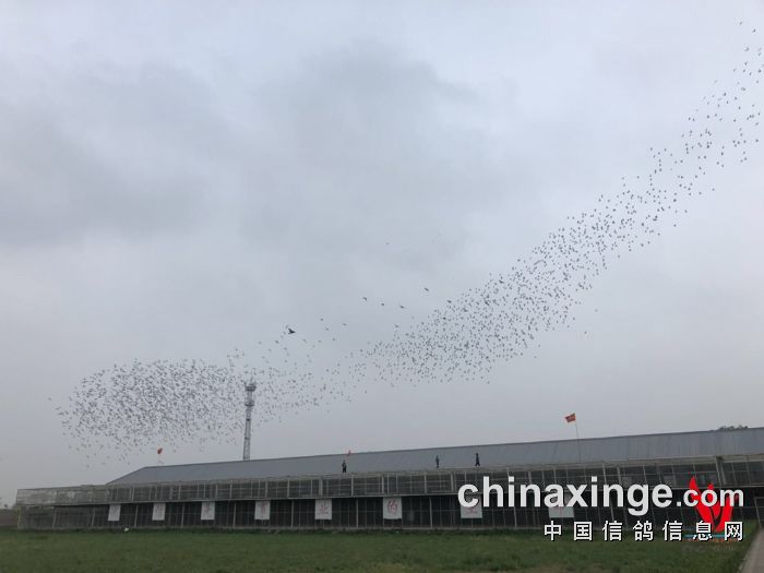 速度与激情