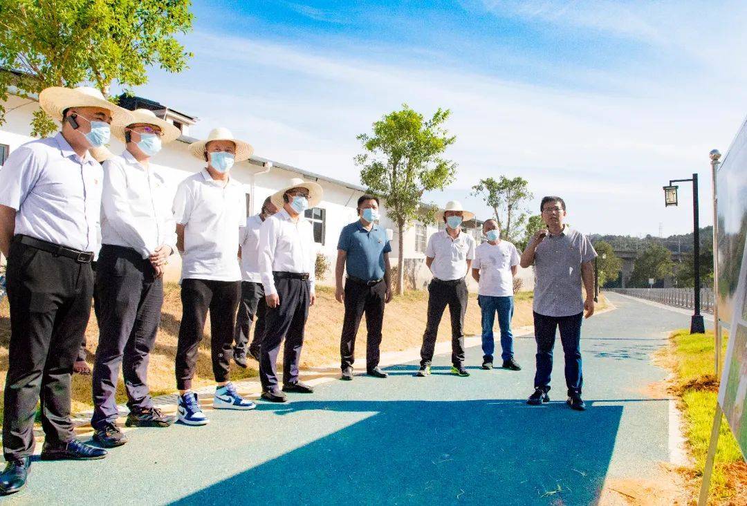 罗源新貌，乡村振兴的生动实践与未来展望罗源新闻近期新闻