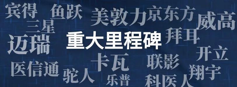 2019年香港全年开奖记录，透视彩票市场的风云变幻香港2021年开奖纪录