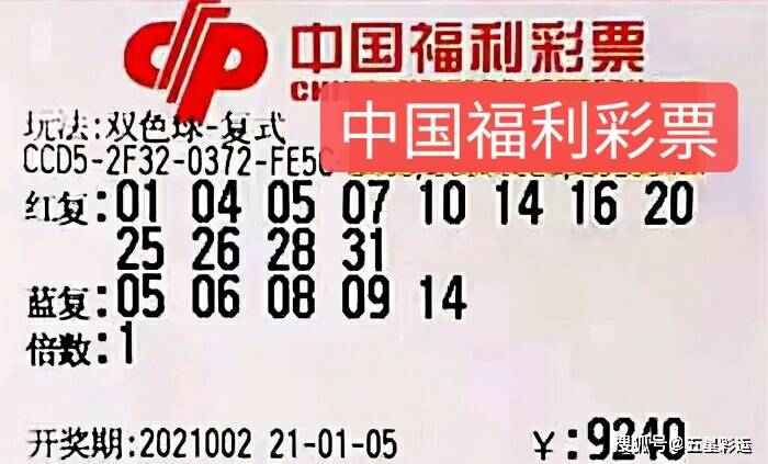 2046，新澳今晚开奖号码139—数字背后的幸运与期待2024新澳今晚开奖号码139上期澳门天什么