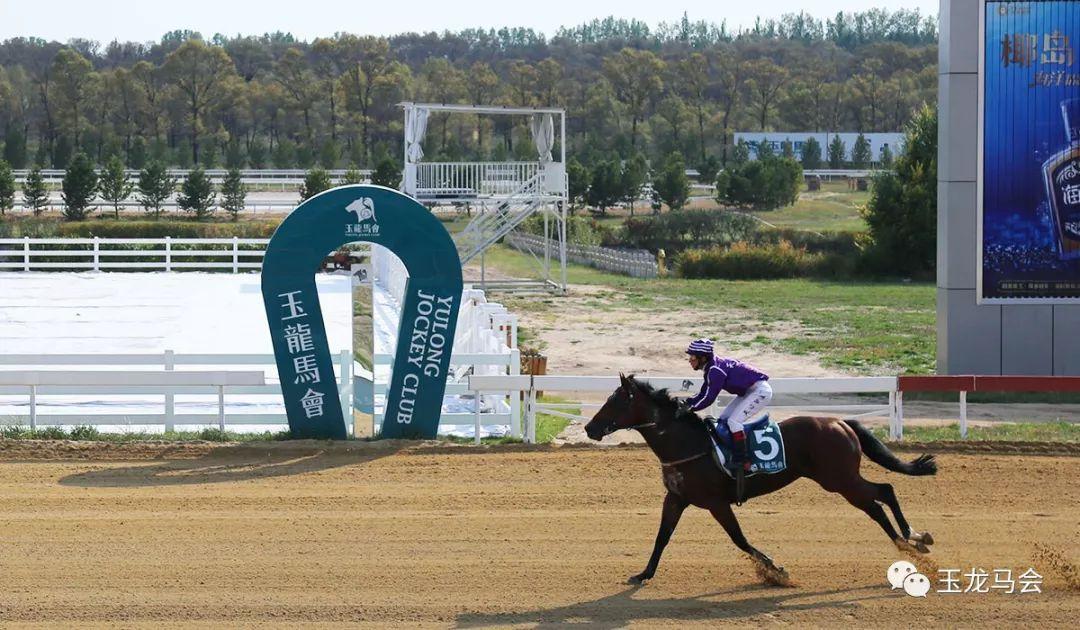 2019年马会正版，重塑香港赛马的辉煌与未来专注2019年马会全年免费大全