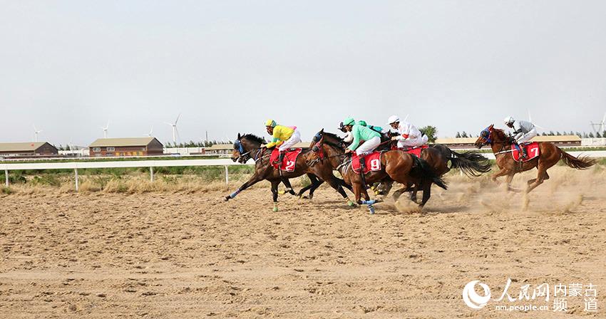 2019年香港马会最快开奖结果，速度与公正的完美结合香港马 会开奖结果新闻