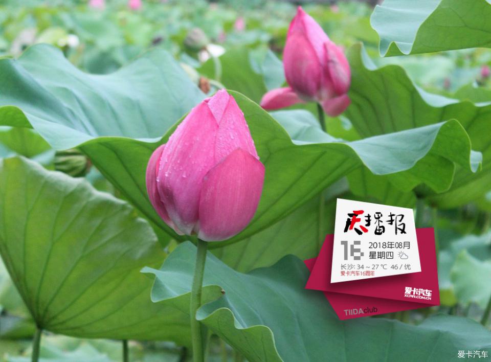 二 四 六 天天 好
