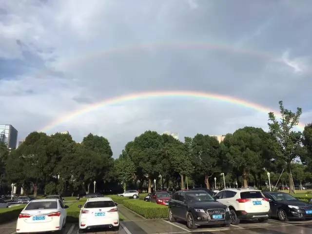 彩虹论坛，汇聚多元色彩，共筑和谐交流的桥梁彩虹论坛首页登录入口