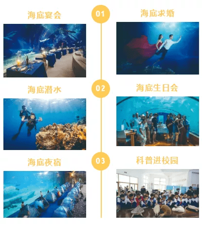探索无限创意，49图库大全的魅力之旅49图库大全免费资料图今年的资料,2024年