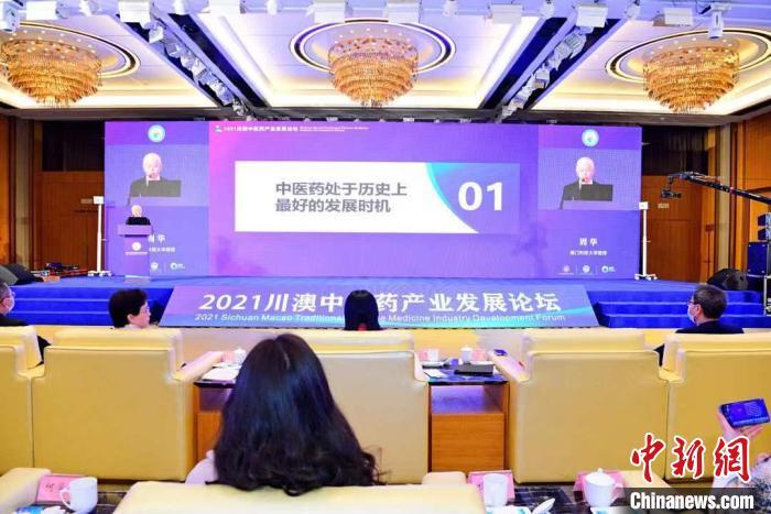 揭秘新澳六，精准资料引领的精彩世界澳6高手论坛