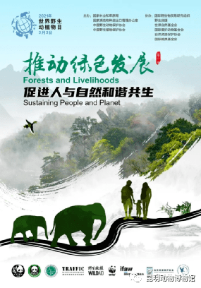 四、绿色生态:人与自然和谐共生2020澳门今晚开什么特马文山苗族风情网