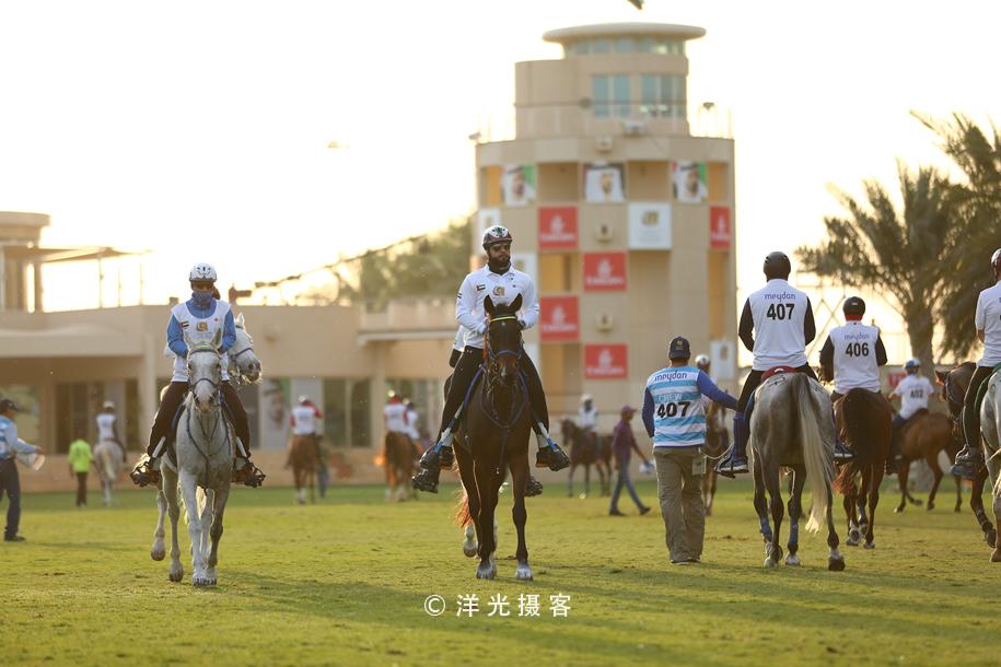探索香港正版马会精选资料大全，揭秘赛马的智慧与魅力香港正版马会精选资料大全On my new hotel