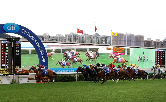 2019年香港马内部免费资料，揭秘赛前准备与投注策略香港马资料大全2019