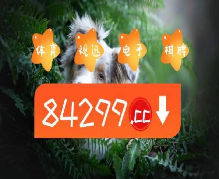 49图库彩图的合法性与安全性，正版选择的重要性49图库彩图正版下载-49图库彩图资料正版下载 安下载
