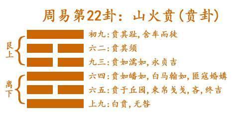 揭秘二四六玄机图，资料大全与深度解析二四六玄机图 资料大全优势