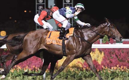 探索香港马会全年资料大全，历史、成就与未来展望香港2021年马会资料大全