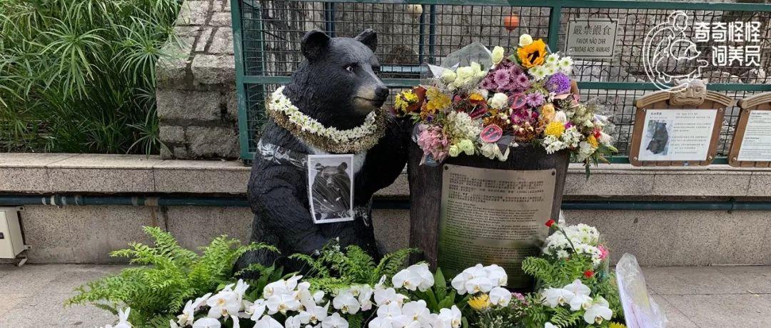 澳门历史开奖结果记录，见证时代变迁的珍贵档案澳门历史开奖结果记录查询表