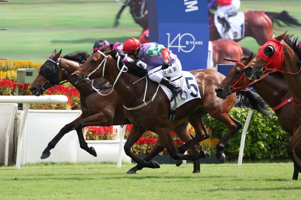探索香港全年资料马会大全，赛马的激情与文化香港2021年马会资料大全