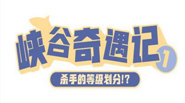 澳门一肖必中，今晚揭晓的幸运之谜，理性与娱乐并存的投注艺术？还是盲目追逐的不实传说?澳门一肖一码必中一肖今晚MBA一一