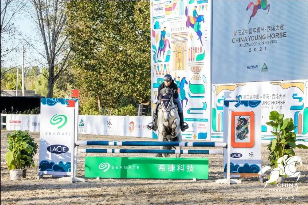 探索香港马会全年资料大全,历史、成就与未来展望香港2021年马会资料大全