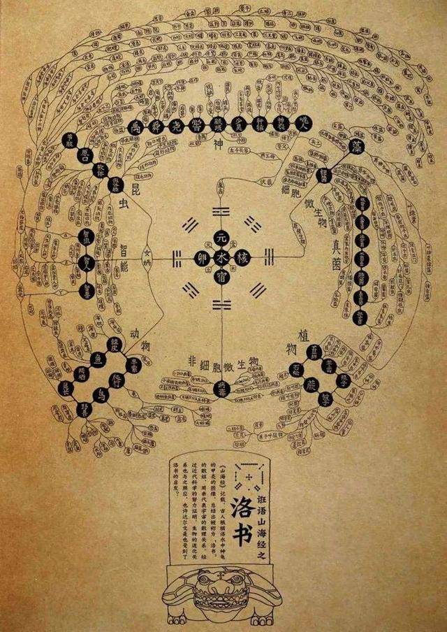 探索二肖3码的奥秘，一种独特的数字游戏与文化现象1肖十2码