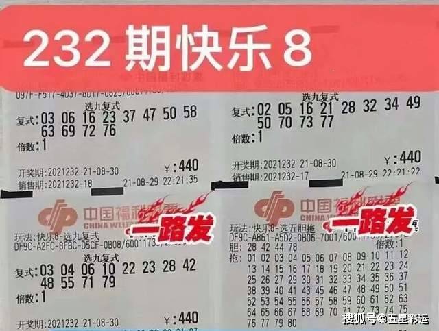澳门彩民网资料，理性参与，共享乐趣澳门彩民网资料123