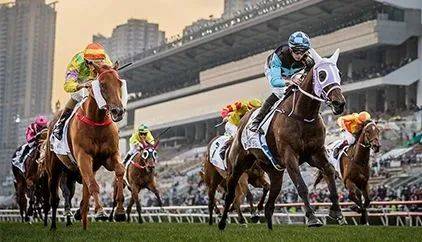 探索香港正版马会精选资料大全，揭秘赛马的智慧与魅力香港正版马会精选资料大全246