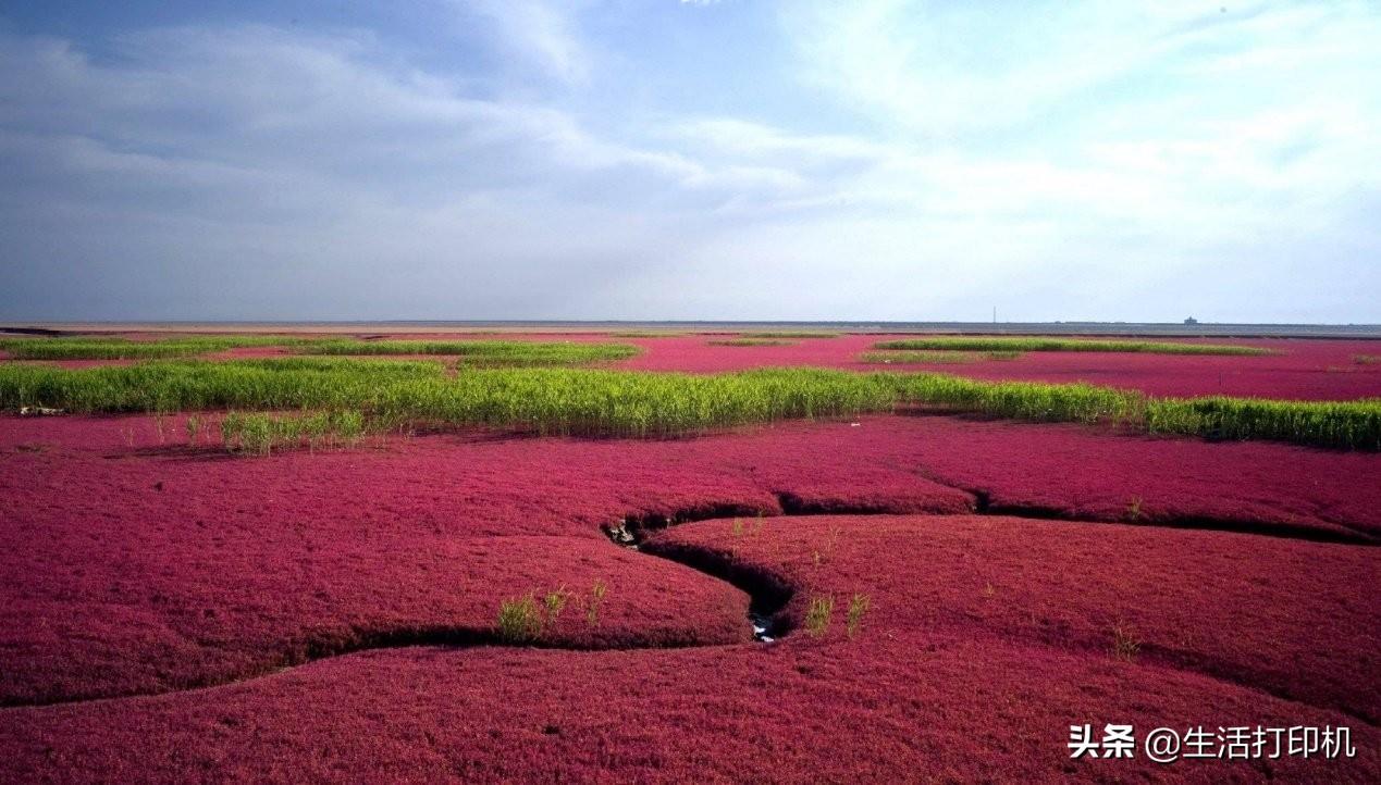 ）解锁三维世界的无限可能，尽在天马行空的天天牛3d图库大全3d图库最新版本辽宁真人胆
