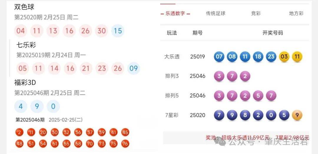 澳门彩票，理性看待，切勿沉迷2025澳门开奖结果查询