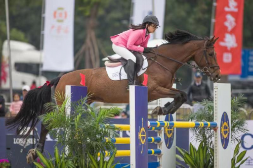 2019年香港马会内部免费资料，揭秘与解析香港马资料大全2019