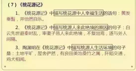 揭秘四肖期中准的奥秘与实战策略四肖期期中准 资料