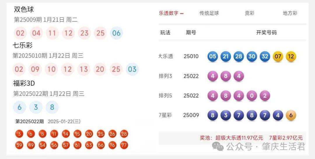 探索香港彩票的本港最快开奖结果，揭秘背后的技术与文化香港本港最快开奖结果手机版